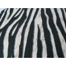Stoff Meterware  "Zebra " 1,35 breit