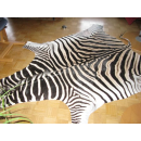 Steppen Zebra  Fell  mit Kopf und Schwanz