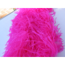 Straußenfedern gefärbt  Blondene  Länge 30-40 cm Farbe  14 Pink Magenta